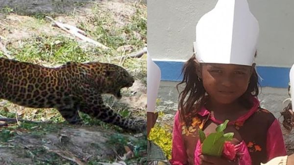 ಕಗ್ಗಲಿಗುಂದಿ ಗ್ರಾಮದಲ್ಲಿ ಚಿರತೆ ದಾಳಿಗೊಳಗಾಗಿದ್ದ 14 ವರ್ಷದ ಬಾಲಕಿ ಸಾವು, 18 ದಿನಗಳಾದರೂ ಬೋನಿಗೆ ಬೀಳದ ಚಿರತೆ