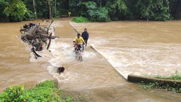 ಕರಾವಳಿ ಭಾಗದಲ್ಲಿ ಭಾರೀ ಮಳೆ: ಅಪಾಯದ ಮಟ್ಟ ಮೀರಿ ಹರಿಯುತ್ತಿರುವ ನೇತ್ರಾವತಿ, ಕುಮಾರಾಧಾರಾ