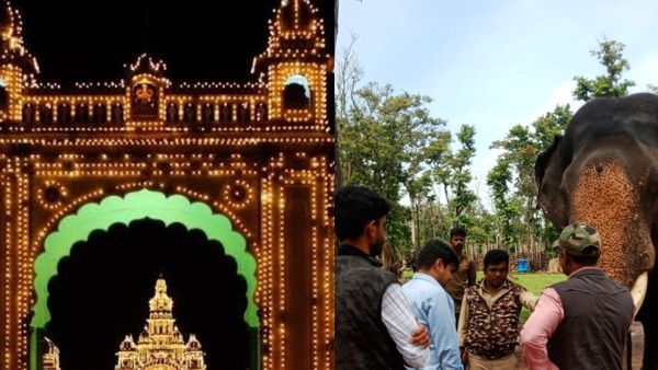 Mysuru Dasara 2023: ಹೆಣ್ಣಾನೆಗಳಿಗೆ ಪ್ರೆಗ್ನೆನ್ಸಿ ಪರೀಕ್ಷೆ ಕಡ್ಡಾಯ, ಈ ನಿರ್ಧಾರ ಏಕೆ?, ಇಲ್ಲಿದೆ ವಿವರ