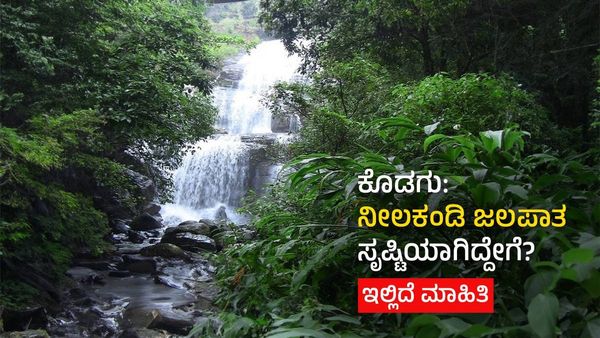 Nilakandi Waterfalls: ನೀಲಕಂಡಿ ಜಲಪಾತ ಸೃಷ್ಟಿಯಾಗಿದ್ದೇಗೆ? ಹಾಗೂ ಈ ಅದ್ಭುತ ತಾಣಕ್ಕೆ ತಲುಪುವ ಮಾರ್ಗಗಳ ವಿವರ ತಿಳಿಯಿರಿ