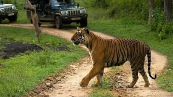 ಪ್ರವಾಸಿಗರಿಗೆ ಸಿಹಿಸುದ್ದಿ: ರಾಜ್ಯದಲ್ಲಿ ಮೊದಲ ಬಾರಿ ಹಂಪಿಯಲ್ಲಿ ಬರಲಿದೆ ನೈಟ್ ಸಫಾರಿ