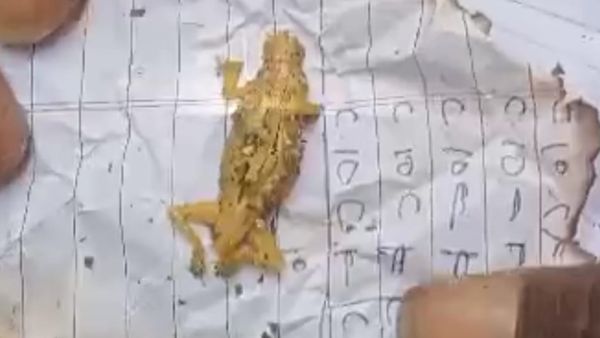 ಅಪ್ಪನದೊಡ್ಡಿಯ ಪ್ರಾಥಮಿಕ ಶಾಲೆಯಲ್ಲಿ ಬಿಸಿಯೂಟದಲ್ಲಿ ಹಲ್ಲಿ ಪತ್ತೆ, ವಿದ್ಯಾರ್ಥಿಗಳು ಅಸ್ವಸ್ಥ