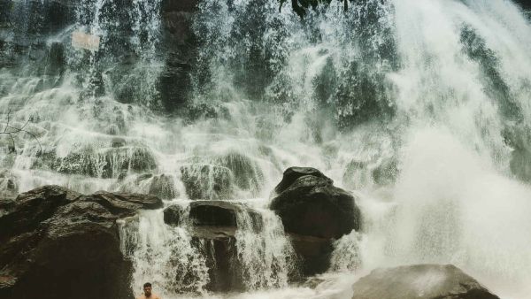 ಭೋರ್ಗರೆಯುತ್ತಿದೆ ಸಿರಿಮನೆ ಜಲಪಾತ: ಹೋಗುವುದು ಹೇಗೆ, ಸಮಯ, ವಿವರ ಇಲ್ಲಿದೆ