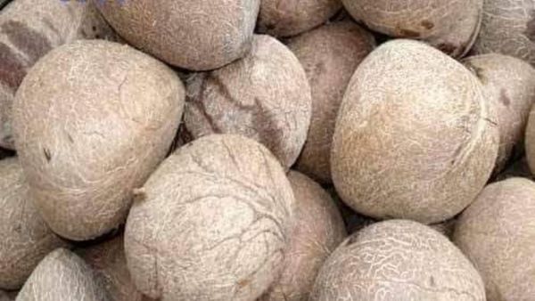 ಕೊಬ್ಬರಿ ಬೆಲೆ ಕುಸಿತ; ಪ್ರೋತ್ಸಾಹಧನ ಘೋಷಿಸಿದ ಸರ್ಕಾರ 
