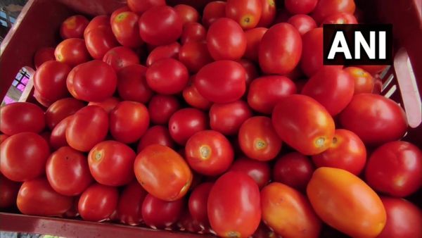 Tomato Price: ಉತ್ತರ ಭಾರತದಲ್ಲಿ ₹200 ಕ್ಕೆ ತಲುಪಿದ ಟೊಮೆಟೊ ದರ- ಭಾರೀ ಮಳೆಯಿಂದಾಗಿ ಮತ್ತಷ್ಟು ಏರಿಕೆ ಸಾಧ್ಯತೆ