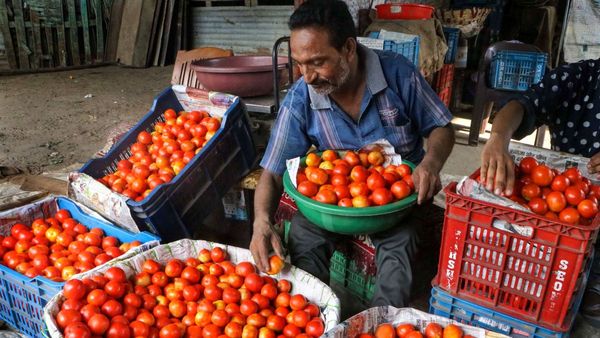Tomato Price: ತಮಿಳುನಾಡಿನಲ್ಲಿ 200 ರೂಪಾಯಿ ದಾಟಿದ ಟೊಮ್ಯಾಟೋ ದರ: ಕರ್ನಾಟಕದಲ್ಲೂ ಏರಿಕೆ ಸಾಧ್ಯತೆ