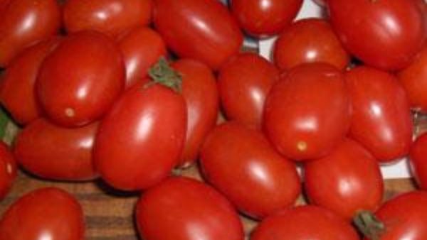 Kolar: ಟನ್‌ಗಟ್ಟಲೆ ಟೊಮೆಟೊ ಹೊತ್ತು ಪರಾರಿಯಾಗಿದ್ದ ಲಾರಿ ಗುಜರಾತ್‌ನಲ್ಲಿ ಪತ್ತೆ, ನಡೆದಿದ್ದೇನು?