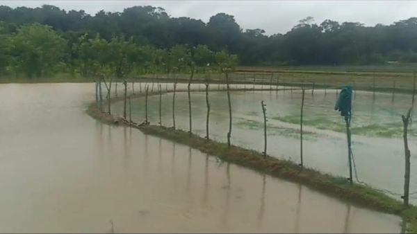 ಉಕ್ಕಿ ಹರಿದ ತುಂಗಾ ನದಿ; ಹರಿಹರಪುರದಲ್ಲಿ ನೂರಾರು ಹೆಕ್ಟೇರ್‌ ಗದ್ದೆ, ತೋಟಗಳು ಜಲಾವೃತ