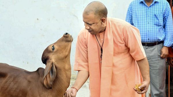 ಇಂಧನ ಕ್ಷೇತ್ರದಲ್ಲಿ ಸಮಗ್ರ ಸುಧಾರಣೆಗಳ ಅಗತ್ಯವಿದೆ: ಯುಪಿ ಸಿಎಂ ಯೋಗಿ ಆದಿತ್ಯನಾಥ್‌