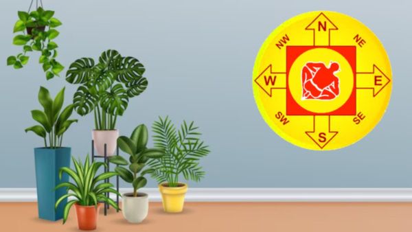 ಮನೆಯ ದಕ್ಷಿಣ ದಿಕ್ಕಿಗೆ ಈ 4 ಗಿಡಗಳನ್ನು ಇಡಬೇಡಿ.. ಹಣದ ಸಮಸ್ಯೆ ಸದಾ ಕಾಡುವುದು