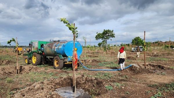 ಕರ್ನಾಟಕದ 3ನೇ ಬೃಹತ್ ಕೆರೆಯ ಸುತ್ತ ಮುತ್ತ ಬೆಳೆಯಲಿವೆ 2 ಲಕ್ಷ ಗಿಡಗಳು