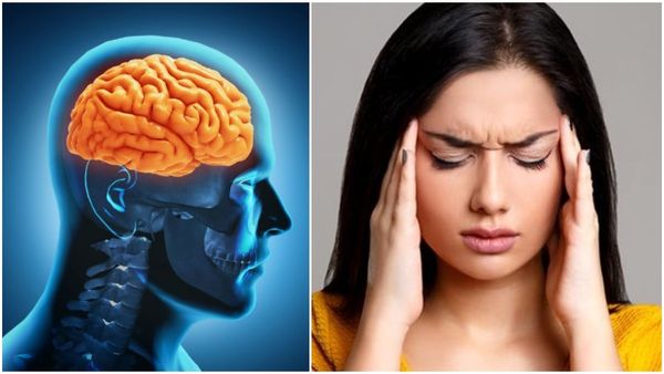 World Brain Day 2023: ಮೆದುಳಿನ ಉತ್ತಮ ಆರೋಗ್ಯಕ್ಕೆ ಈ ಸಲಹೆಗಳನ್ನು ಪಾಲಿಸಿ