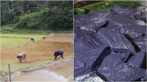 ಕೊಡಗಿನಲ್ಲಿ ಆಟಿ ಪದ್ನಟ್ ಸಂಭ್ರಮ: ಈ ಆಚರಣೆಗಳ ವಿಶೇಷತೆಗಳೇನು ಗೊತ್ತಾ?
