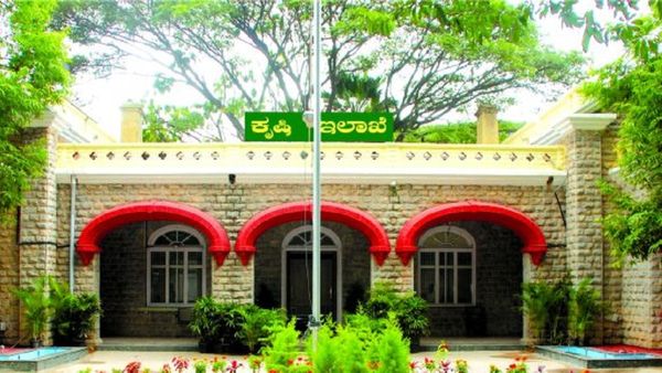 ಏಕದಳ ಧಾನ್ಯ ಬೆಳೆಗೆ ಹೊಸ ಕೀಟ ಪೀಡೆ; ಹತೋಟಿಗೆ ರೈತರಿಗೆ ಸಲಹೆಗಳು 