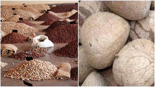  Arecanut And Copra Price: ಅಡಿಕೆ ಬೆಲೆ ಅಲ್ಪ ಕುಸಿತ: ಕೊಬ್ಬರಿ ಧಾರಣೆ ಮಾಹಿತಿ
