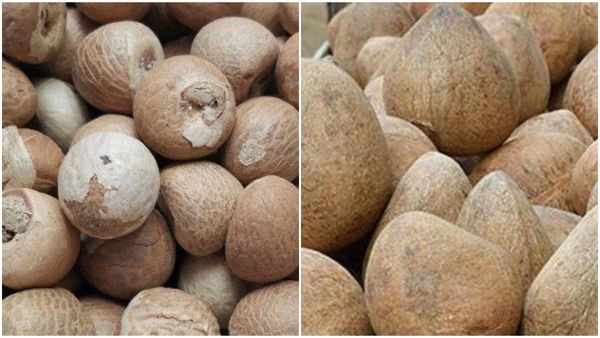  Arecanut & Copra Price: ಕುಸಿತ ಕಂಡ ಅಡಿಕೆ ಧಾರಣೆ: ಕೊಬ್ಬರಿ ಬೆಲೆ ಎಷ್ಟಿದೆ ತಿಳಿಯಿರಿ