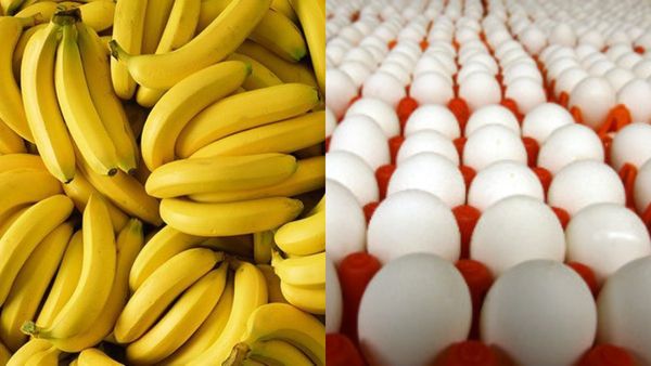 ಸರ್ಕಾರಿ ಶಾಲಾ ಮಕ್ಕಳಿಗೆ ಮೊಟ್ಟೆ, ಬಾಳೆಹಣ್ಣು ನೀಡಲು ನಿರ್ಧಾರ- ಯಾವಾಗಿಂದ? ಯಾವ ತರಗತಿ ವರೆಗೆ? ತಿಳಿಯಿರಿ