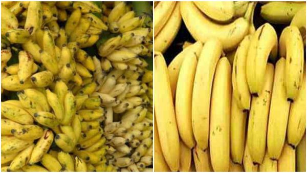 ಸಾಲು ಸಾಲು ಹಬ್ಬಗಳು ಹತ್ತಿರ: ಗಗನಕ್ಕೇರುತ್ತಿದೆ ಬಾಳೆಹಣ್ಣು ದರ!