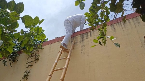 ಚಾಮರಾಜನಗರ: ಏಣಿ ಮೂಲಕ ಶಿಥಿಲಗೊಂಡ ಶಾಲೆ ಮೇಲೇರಿದ ಶಾಸಕ ಸಿ.ಪುಟ್ಟರಂಗಶೆಟ್ಟಿ