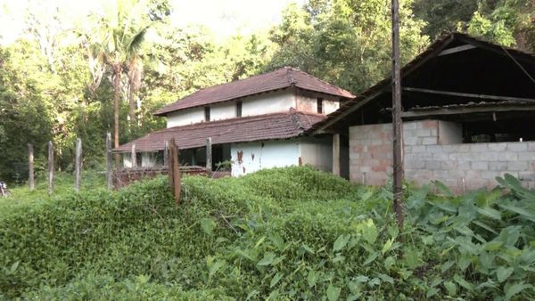 ಅಡಿಕೆ ಬೆಳೆಗೆ ಹಳದಿ ರೋಗ ಕಾಟ: ಬೇಸತ್ತು ಊರು ಬಿಡುತ್ತಿರುವ ಮಲೆನಾಡಿಗರು