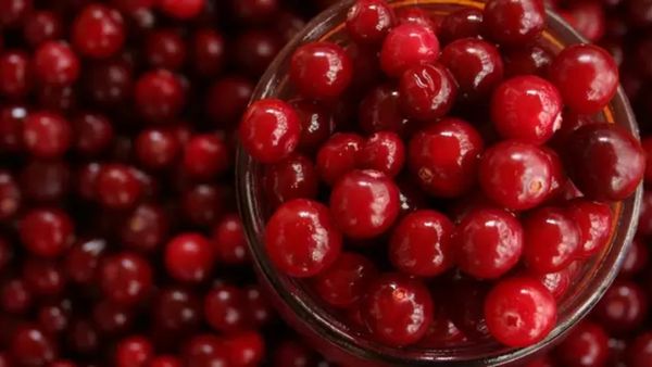 Cranberry Health Benefits: ಆರೋಗ್ಯ ಪ್ರಯೋಜನಗಳ ಶಕ್ತಿ ಕೇಂದ್ರ ಈ ಕೆಂಪು ಹಣ್ಣು ಕ್ರ್ಯಾನ್‌ಬೆರಿ