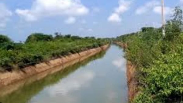 ಗಾಜನೂರು ಜಲಾಶಯದಿಂದ ತುಂಗಾ ಮೇಲ್ದಂಡೆ ಕಾಲುವೆಗಳಿಗೆ ನೀರು: ಒಣಗುತ್ತಿರುವ ಬೆಳೆಗೆ ಆಸರೆ