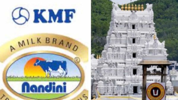 Tirupati laddus: ತಿರುಪತಿ ಲಡ್ಡುಗಳಿಗೆ ನಂದಿನಿ ತುಪ್ಪ ಪೂರೈಕೆ- ಟಿಟಿಡಿಯನ್ನು ಚರ್ಚೆಗೆ ಆಹ್ವಾನಿಸಿದ ಕೆಎಂಎಫ್‌