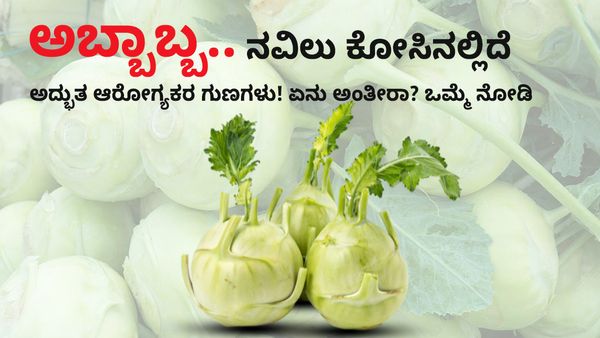 Kohlrabi Health Benefits: ಅಬ್ಬಾಬ್ಬ.. ನವಿಲು ಕೋಸಿನಲ್ಲಿದೆ ಅದ್ಭುತ ಆರೋಗ್ಯಕರ ಗುಣಗಳು! ಏನು ಅಂತೀರಾ? ಒಮ್ಮೆ ನೋಡಿ
