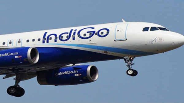 Indigo Airlines: ದೆಹಲಿಯಿಂದ ಈ ನಗರಕ್ಕೆ ಸೆ.4ರಿಂದ ಇಂಡಿಗೋ ಕಾರ್ಯಾಚರಣೆ