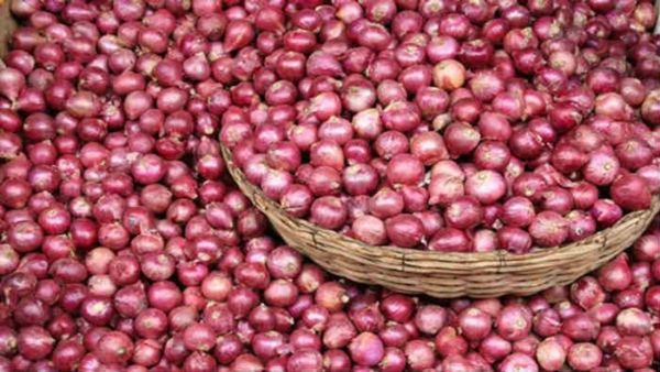 ಖರೀದಿಸುವ ಸಾಮರ್ಥ್ಯವಿಲ್ಲದವರು ಕೆಲವು ತಿಂಗಳು ಈರುಳ್ಳಿ ತಿನ್ನಬೇಡಿ: ಮಹಾರಾಷ್ಟ್ರ ಸಚಿವನ ಉದ್ಘಟ ಹೇಳಿಕೆ