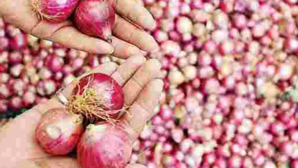 ಈರುಳ್ಳಿ ರಫ್ತು ಸುಂಕ ಶೇ.40 ಹೇರಿಕೆ ವಿರುದ್ಧ ರೈತರು ಕೆಂಡ, ಪ್ರತಿಭಟನೆ