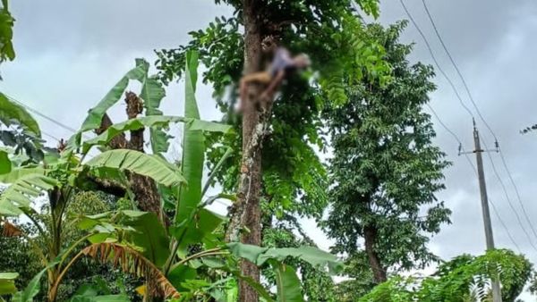 ಚಿಕ್ಕಮಗಳೂರು: ವಿದ್ಯುತ್‌ ಸ್ಪರ್ಶಿಸಿ ವ್ಯಕ್ತಿ ಸಾವು, ಇಂಗು ಗುಂಡಿಗೆ ಬಿದ್ದು ಮಗು ಸಾವು