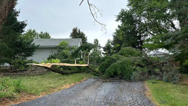 Rain Alert: ಕರ್ನಾಟಕದ ಈ ಜಿಲ್ಲೆಗಳಲ್ಲಿ ಸುರಿಯಲಿದೆ ಗುಡುಗು ಸಹಿತ ಮಳೆ- ವರದಿ, ವಿವರ