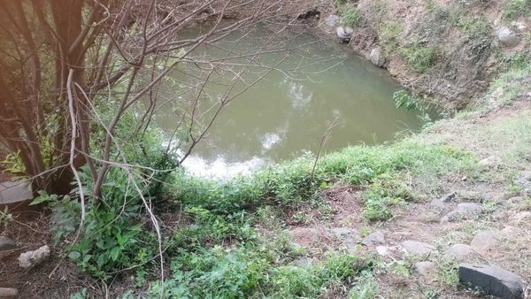 ಕೌಟುಂಬಿಕ ಕಲಹ: ಸಿಟ್ಟಿನಲ್ಲಿ ಮಕ್ಕಳನ್ನು ಕೊಂದು ತಾನೂ ಸಾವಿಗೆ ಶರಣಾದ ತಾಯಿ