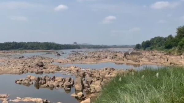 Tungabhadra river: ಬತ್ತಿದ ತುಂಗಭದ್ರಾ ನದಿ, ಪುಣ್ಯಸ್ನಾನದಿಂದ ವಂಚಿತರಾದ ಶ್ರೀ ಗುರು ರಾಘವೇಂದ್ರ ಸ್ವಾಮಿ ಮಠದ ಭಕ್ತರು