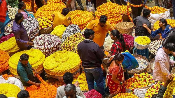 ಸೇವಂತಿಗೆ ಬೆಳೆಗೆ ರೋಗ ಬಾಧೆ; ಹತೋಟಿಗೆ ರೈತರಿಗೆ ಸಲಹೆಗಳು 