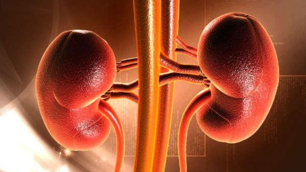 ರಕ್ಷಾಬಂಧನಕ್ಕೆ ತನ್ನ ಸಹೋದರನಿಗೆ ಕಿಡ್ನಿಯನ್ನೇ ಕೊಟ್ಟ ಸಹೋದರಿ, ಎಲ್ಲಿ ಗೊತ್ತಾ?