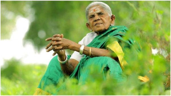 ಕಾಲು ಜಾರಿ ಬಿದ್ದ ಸಾಲುಮರದ ತಿಮ್ಮಕ್ಕ : ಬೆನ್ನಮೂಳೆಗೆ ಪೆಟ್ಟು ಆಸ್ಪತ್ರೆಗೆ ದಾಖಲು