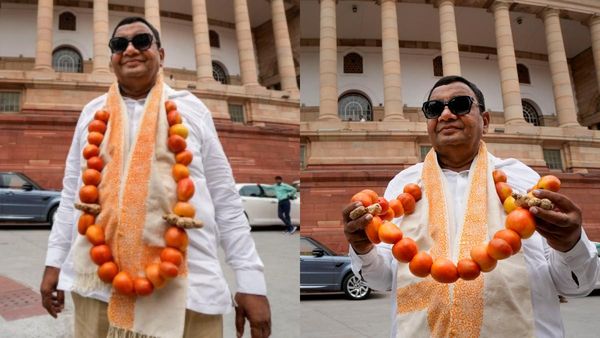 Tomato Price: ಟೊಮೆಟೊ ಹಾರದ ಜೊತೆ ರಾಜ್ಯಸಭೆಗೆ ಸಂಸದನ ಎಂಟ್ರಿ!