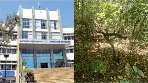 ಬೆಂಗಳೂರು ವಿವಿ ಕ್ಯಾಂಪಸ್‌ನಲ್ಲಿ ಕಳ್ಳರ ಹಾವಳಿ: ಶ್ರೀಗಂಧದ ಮರಗಳೇ ಖದೀಮರ ಟಾರ್ಗೆಟ್‌