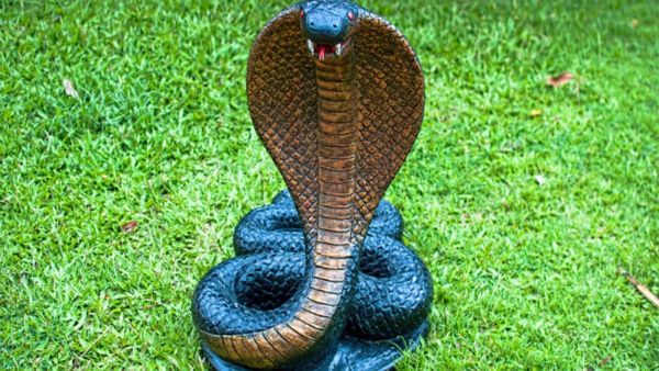 Snake Idol: ಮನೆಯ ಈ ಜಾಗದಲ್ಲಿ ನಾಗ ಮೂರ್ತಿ ಇಟ್ಟರೆ ಹಣದ ಹರಿವು ಹೆಚ್ಚಳ...!