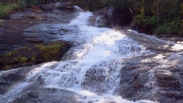 Kodagu Waterfalls: ಈ ವೇಳೆಯಲ್ಲಿ ಕರ್ನಾಟಕದ ಕಾಶ್ಮೀರದಲ್ಲಿ ಹೆಜ್ಜೆಹೆಜ್ಜೆಗೂ ಜಲಪಾತಗಳು ಸೃಷ್ಟಿ, ತಲುಪುವ ಮಾರ್ಗಗಳು