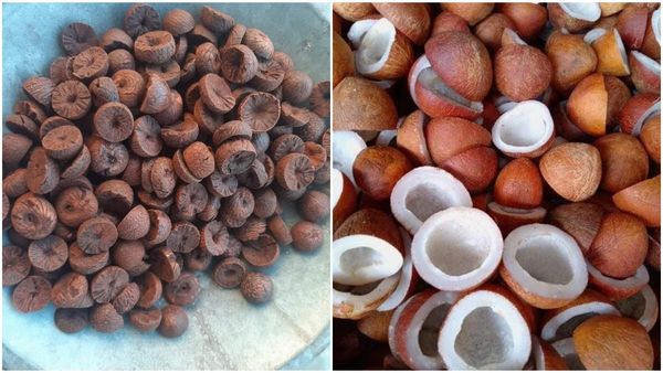 Arecanut And Copra Price: ಕುಸಿತ ಕಂಡ ಅಡಿಕೆ ಮತ್ತು ಕೊಬ್ಬರಿ ಧಾರಣೆ