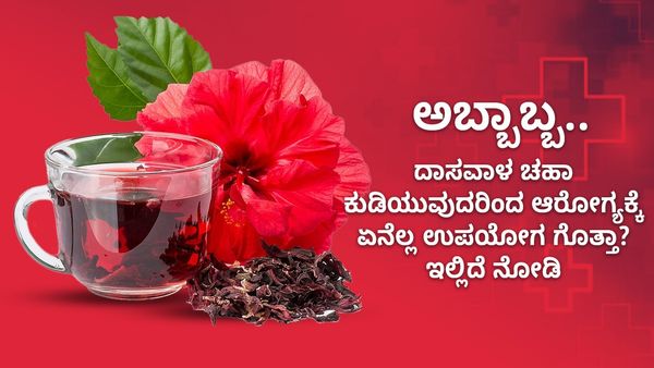  Hibiscus Tea Benefits: ಅಹ್ಹಾ! ದಾಸವಾಳ ಚಹಾ ಕುಡಿಯುವುದರಿಂದ ಆರೋಗ್ಯಕ್ಕೆ  ಎಷ್ಟೊಂದು ಉಪಯೋಗ ಗೊತ್ತಾ? 