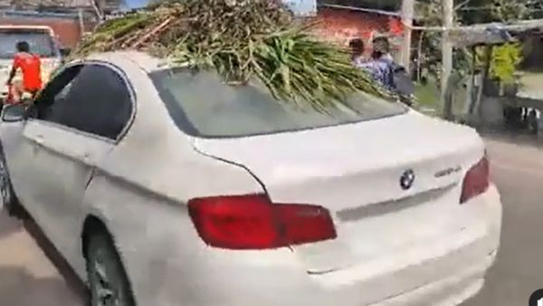  ಬಂಡಿ ಅಲ್ಲ.. ಭಾರೀ ಮೊತ್ತದ BMW ಕಾರಿನಲ್ಲಿ ಜಾನುವಾರುಗಳಿಗೆ ಹುಲ್ಲು ತಂದ ಅನ್ನದಾತ, ವಿಡಿಯೋ ವೈರಲ್‌