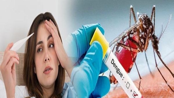 Dengue: ಬೆಂಗಳೂರಿಗರೇ ಎಚ್ಚರ, ಒಂದೇ ತಿಂಗಳಲ್ಲಿ 2,374 ಡೆಂಗ್ಯೂ ಪ್ರಕರಣ ವರದಿ: ಬಿಬಿಎಂಪಿ