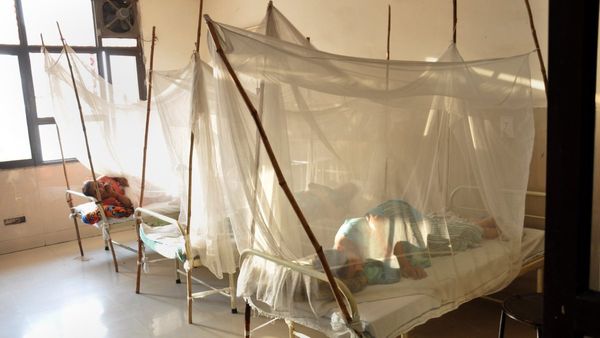 ಬೆಂಗಳೂರಿನಾದ್ಯಂತ ವ್ಯಾಪಿಸುತ್ತಿದೆ ಡೆಂಗ್ಯೂ: ಪ್ರಕರಣಗಳಲ್ಲಿ ಭಾರೀ ಏರಿಕೆ-ಲಕ್ಷಣಗಳೇನು? ಆರೋಗ್ಯ ಇಲಾಖೆಯ ಸಲಹೆಗಳೇನು? ತಿಳಿಯಿರಿ