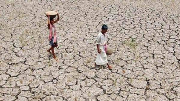 ರಾಜ್ಯದ 195 ತಾಲೂಕುಗಳನ್ನು ಬರಪೀಡಿತವೆಂದು ಘೋಷಿಸಲಿದೆ ಸಿದ್ದರಾಮಯ್ಯ ಸರ್ಕಾರ- ಮಾಹಿತಿ, ವಿವರ ತಿಳಿಯಿರಿ