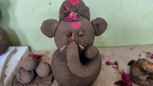 Ganesha chaturthi; ಕೊಡಗಿನಲ್ಲಿ ಪರಿಸರ ಸ್ನೇಹಿ ಗಣೇಶ ಅಭಿಯಾನ