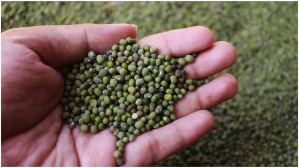 Green Gram Price: ಹೆಸರುಕಾಳಿಗೆ ಬಂಪರ್ ದರ: ಮೂರು ವರ್ಷಗಳಲ್ಲಿ ಗರಿಷ್ಠ ಧಾರಣೆ